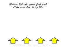 Bilder-unterscheiden-2.pdf